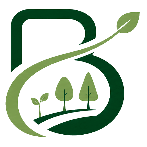 Letra B verde de la palabra Bosque con rama y arboles en sus distintas etapas representando crecimiento sostenible