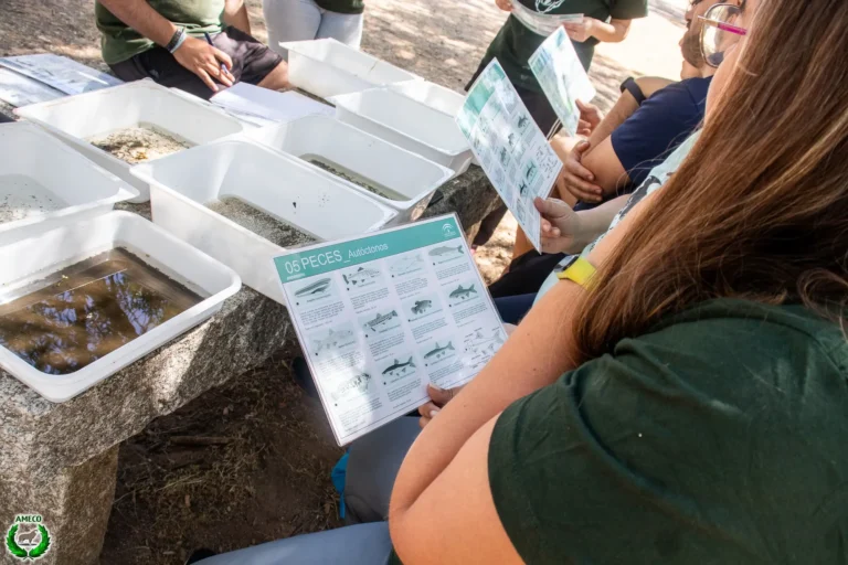 Participantes con guía de peces autóctonos junto a bandejas de agua en actividad ambiental Andarríos