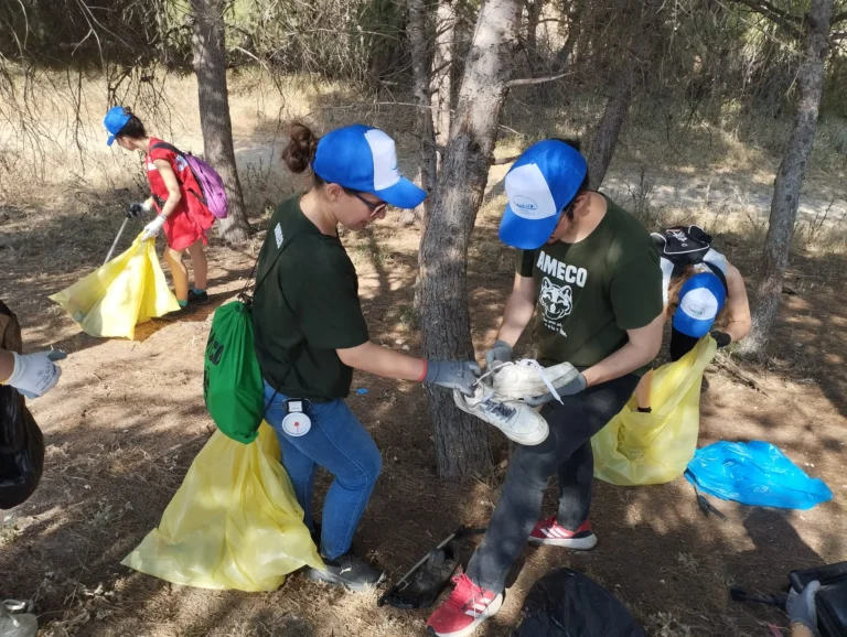 Voluntarios recogen basura en un pinar durante una limpieza ambiental