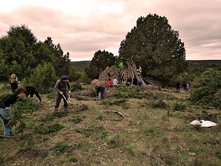 Grupo de voluntarios construyendo una gran estructura de ramas en un paraje de sabinas del Alto Tajo