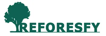 Logo de Reforesfy con la silueta de un árbol verde junto al nombre de la marca