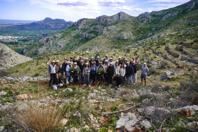 Ladera reforestada en Pego con árboles autóctonos jóvenes y protectores individuales tras los incendios