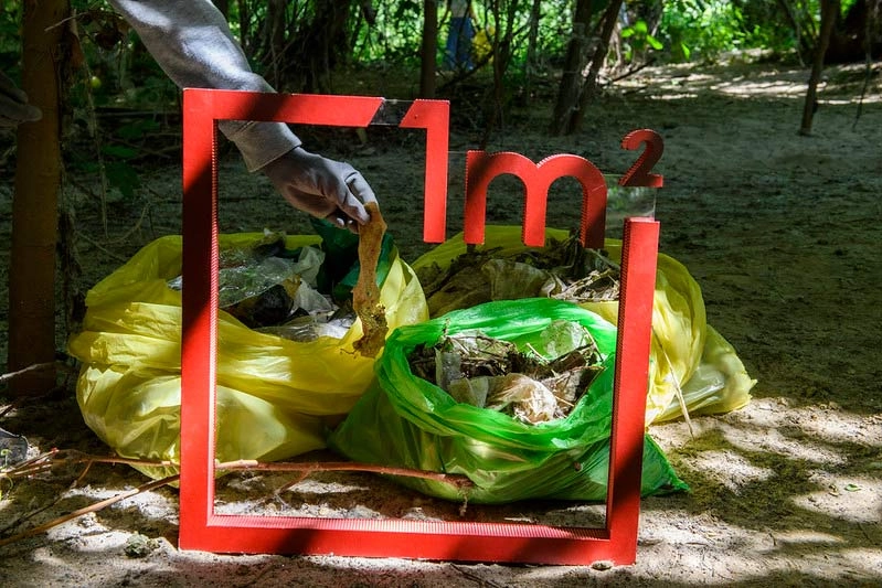 Marco rojo con símbolo 1m² y bolsas de basura recogida en un bosque durante campaña LIBERA