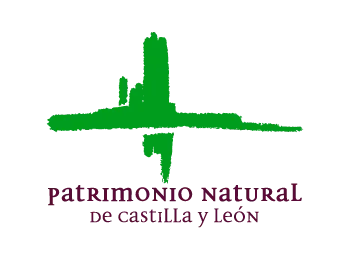 Logotipo de la Fundación Patrimonio Natural de Castilla y León con silueta de árboles en verde