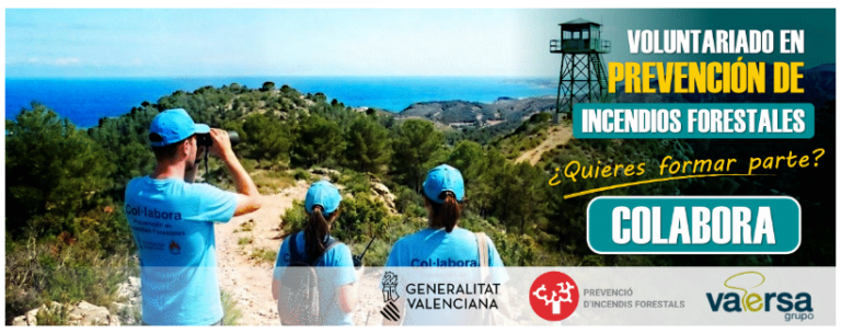 Voluntarios de espaldas con casco azul observando paisaje forestal junto al mar, campaña de voluntariado en prevención de incendios forestales