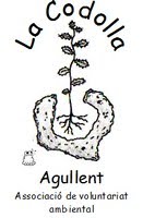 Logotipo de La Codolla, asociación de voluntariado ambiental, con planta y raíces