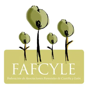 Logo de FAFCYLE con cuatro árboles estilizados sobre fondo amarillo, representando la Federación de Asociaciones Forestales de Castilla y León