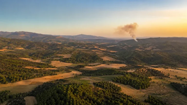 Paisaje mediterráneo en mosaico con bosque, cultivos y una columna de humo al fondo, símbolo de la prevención de incendios