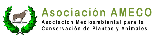 Logo de Asociación AMECO con venado y laureles, Asociación Medioambiental para la Conservación de Plantas y Animales