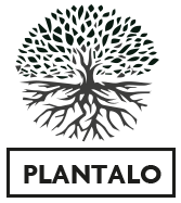 Logotipo de Plantalo con árbol de copa frondosa y raíces sobre texto en recuadro
