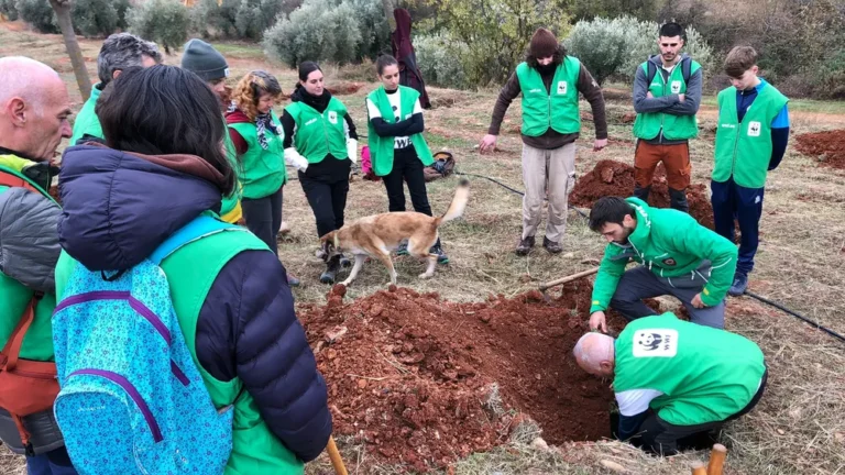 Voluntarios de WWF plantando árboles autóctonos en una ladera degradada durante la 14ª Plantación en Red